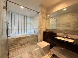 RESIDENCES AT EMERALD HILL (D9), Terrace #587985551